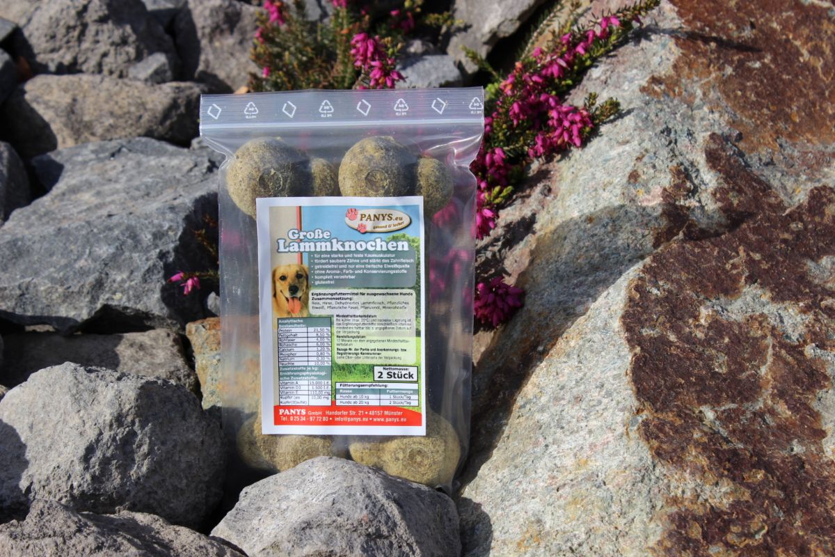 Große Lammknochen